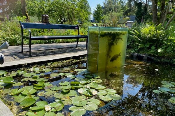 bankje bij aquarium Hortus Alkmaar