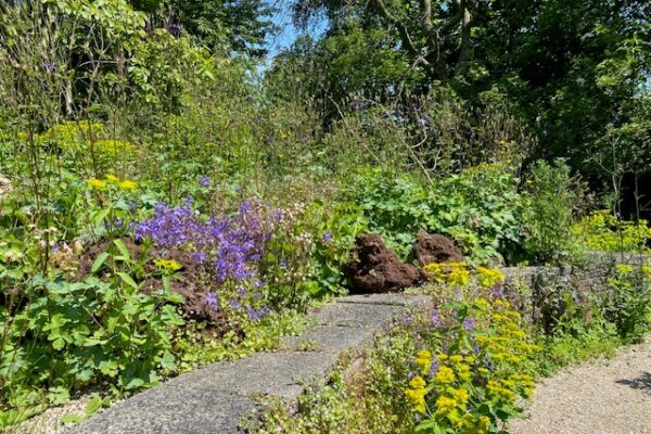 overzicht Hortus Alkmaar