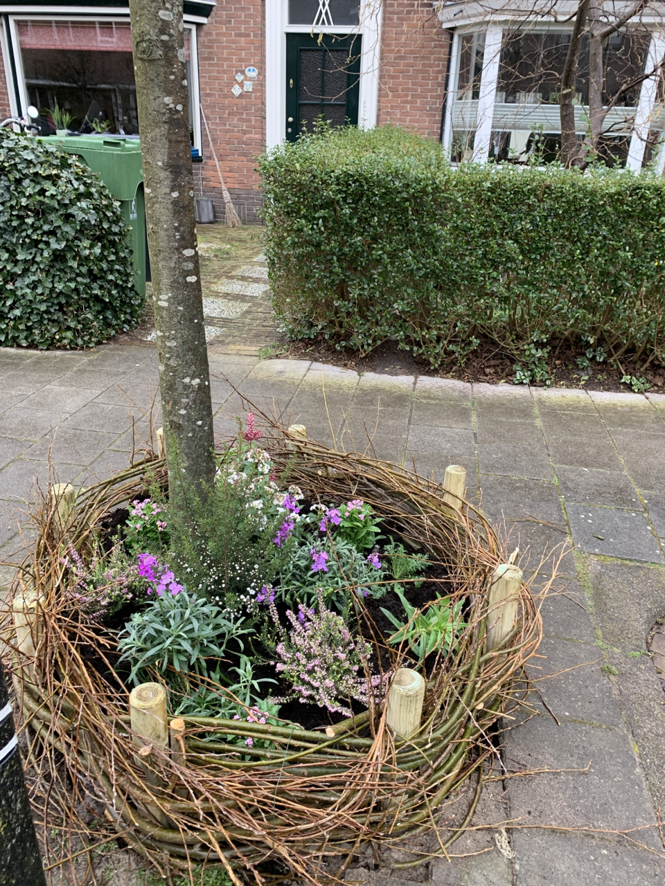 Rembrandt Groen Nieuws